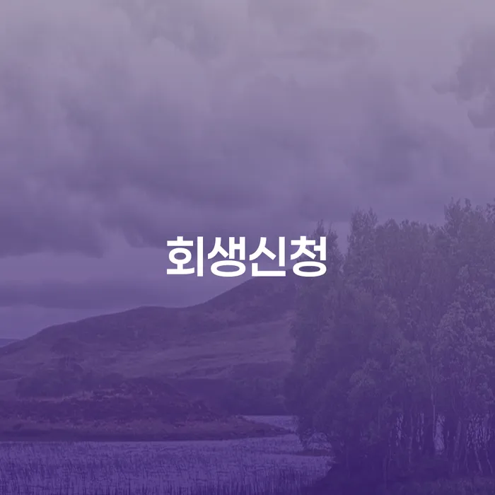 회생전문변호사 연체 채무 신속해결방법 관련정보
