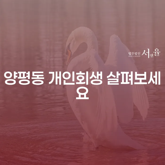 양평동 개인회생 살펴보세요
