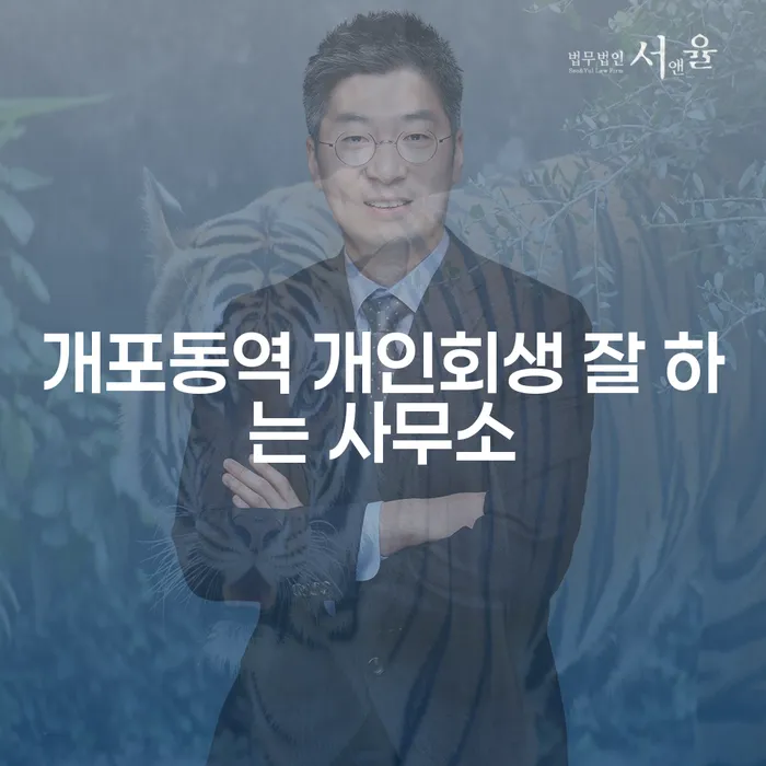 개포동역 개인회생 잘 하는 사무소