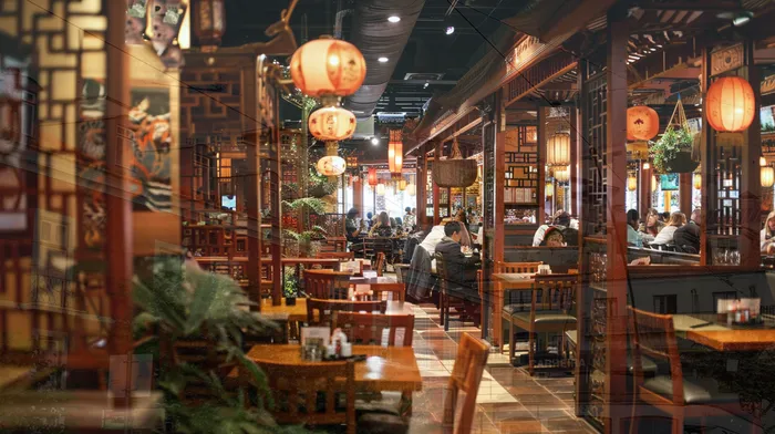 개인회생 vs 개인파산