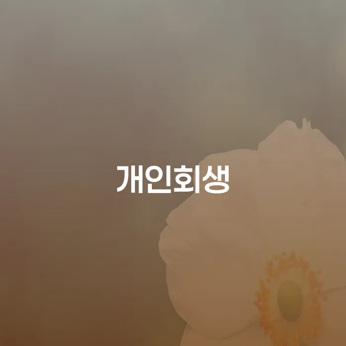 회현동 개인회생을 통한 부채 위기 극복 방안