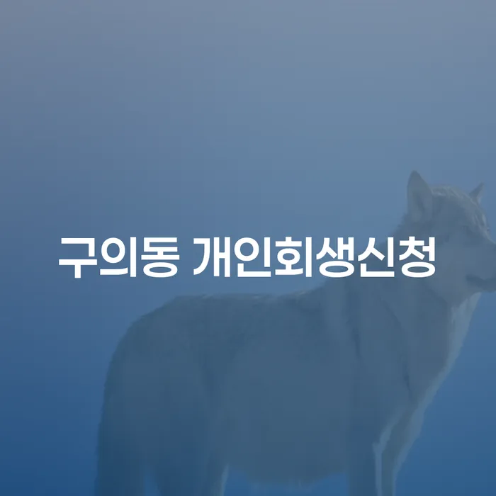구의동 개인회생신청, 정말 가능한 방법일까요?
