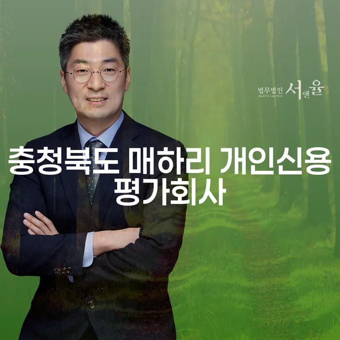 충청북도 매하리에서 신용 문제 해결, 개인회생과 파산의 차이점은?