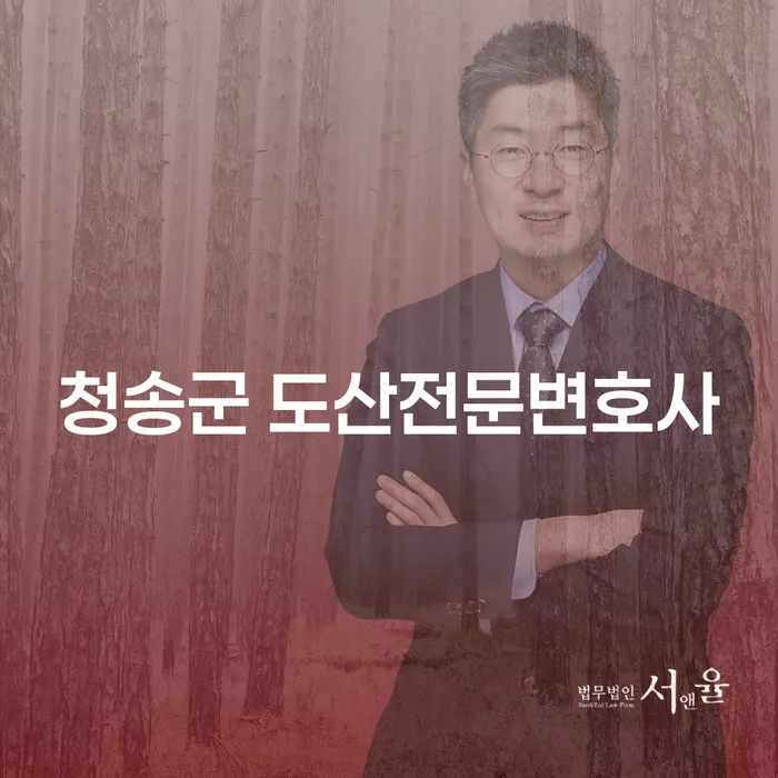 청송군에 거주 중인 당신, 도산전문변호사의 도움을 받아 채무 문제를 해결해보세요!