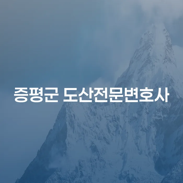증평군 도산전문변호사를 통해 채무 해결의 길을 찾아볼까요?